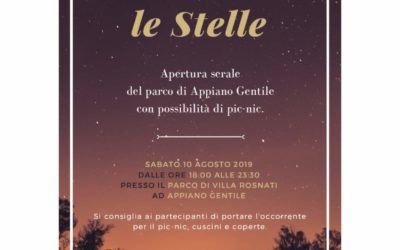 Serata sotto le stelle – 2019